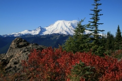 The beautiful foreground colors of fall highlight Mt. Rainier.