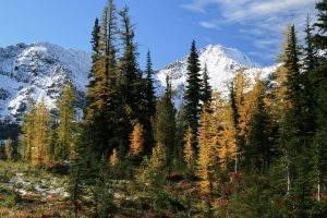 First views of Larch Lake basin, and the resplendant fall colors