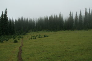 One of the first meadows we walked through, on our way to Bear Creek Mtn. 