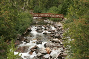 Bridge over Jack Creek.