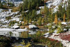 Fall colors in the Enchantments.