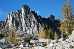 Stony faced Prussic Peak, with Golden Larch.