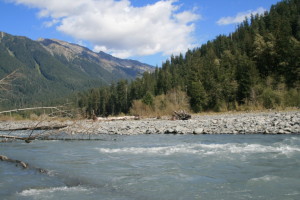 The Hoh River, from our campsite.