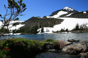 Camp lake, wildflowers, and the Middle Sister