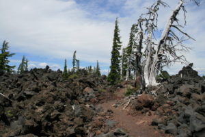 Trail winds through lava beds, on way to South Matthieu Lake.