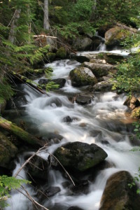 Rapids along Mountaineer Creek