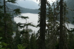 Switchback views above Dorothy Lake