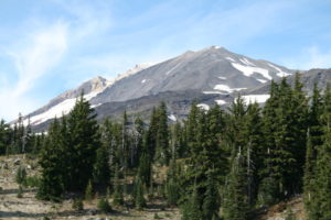 First wide open views of Mt. Adams from the trail.