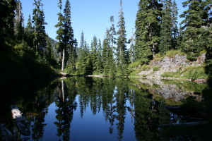 Reflections on a still pool, near Lower Wildcat Lake