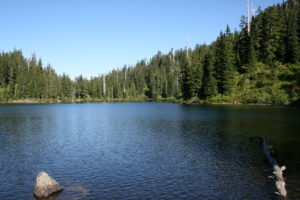 Unremarkable Lower Wildcat Lake.