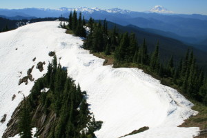 Cowlitz Divide Trail...Somewhere...You can see there is still a large ridge of snow up against the trail...