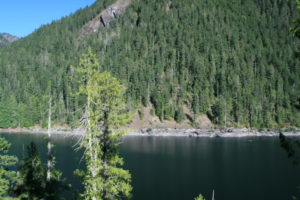 Lower Lena Lake. If you look closely, you can see "floaters" on a piece of driftwood near the edge of the far shore...Brrr...