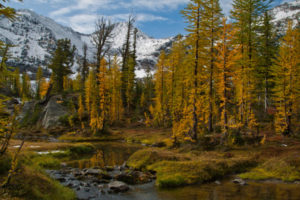 Fall colors reflecting off of outlet of Larch Lake