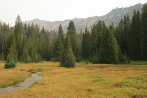 Large meadow at the junction with Germania and 4th of July creek junction
