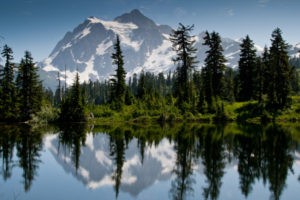 Another iconic photo, off of Picture Lake, often photographed. We were lucky to get this shot, as most of the day, Mt. Shuksan was shrouded in fog and haze.