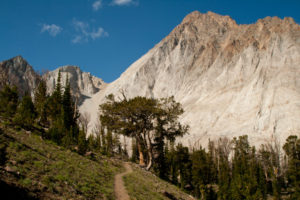 The trail seems to lead right to the base of Castle Peak