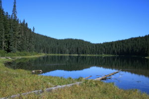 Echo Lake was a large woodland lake, and on this still day, was the perfect mirror to reflect the shoreline.