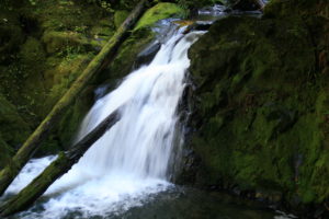As we hiked along the Greenwater River, the sounds of rushing water over rocks was our constant background companion.