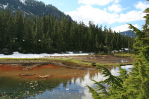 Orange tinged and scum covered Opal Lake, the southern edge...